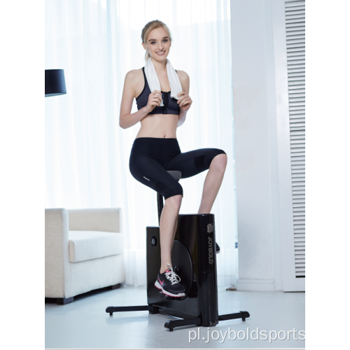 Mini rowerek fitness z systemem oporu magnetycznego JB902